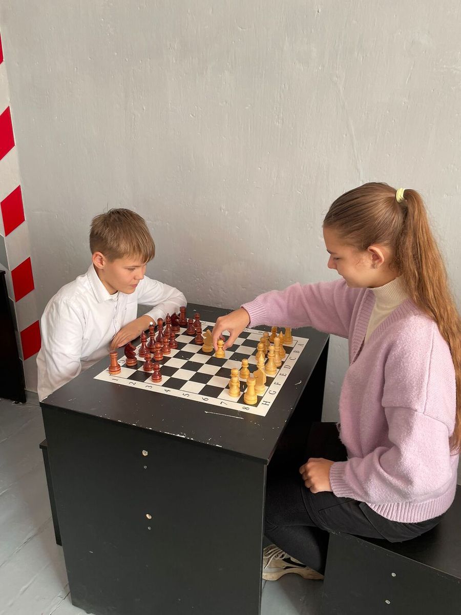 шахматы2